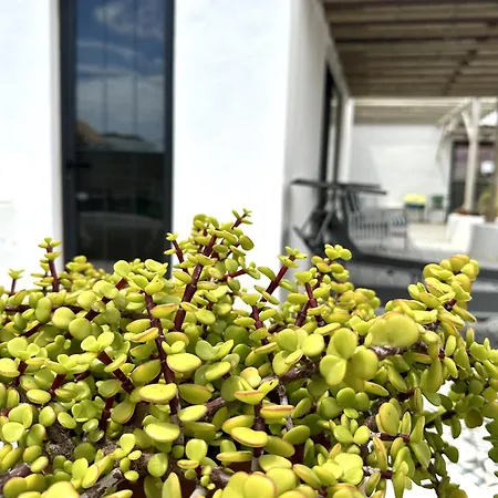 Casita Tiare Apartment